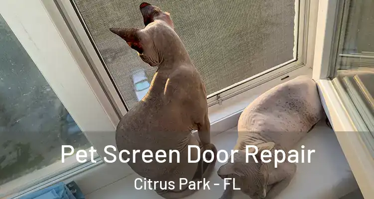  Pet Screen Door Repair Citrus Park - FL