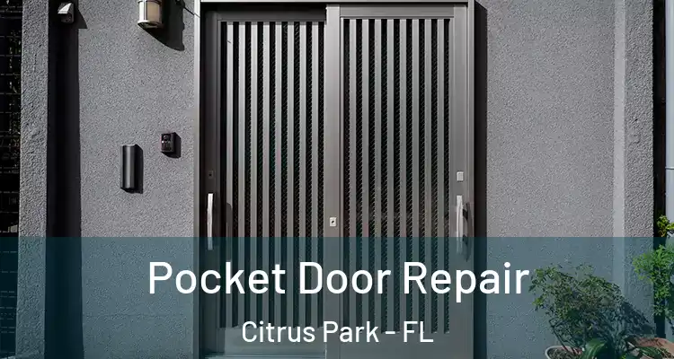 Pocket Door Repair Citrus Park - FL