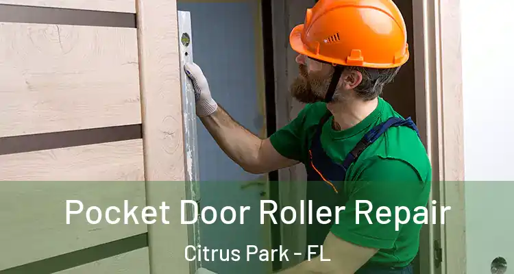  Pocket Door Roller Repair Citrus Park - FL