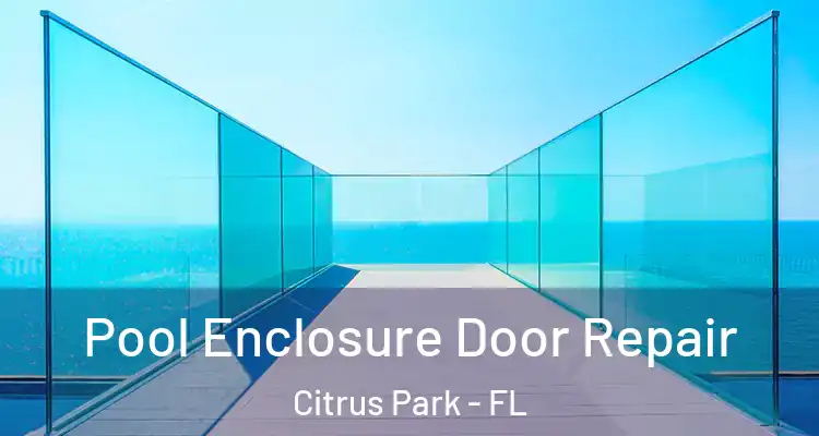  Pool Enclosure Door Repair Citrus Park - FL