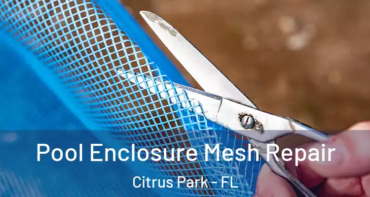  Pool Enclosure Mesh Repair Citrus Park - FL