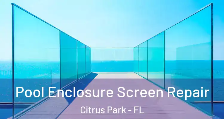  Pool Enclosure Screen Repair Citrus Park - FL