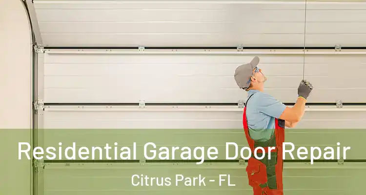  Residential Garage Door Repair Citrus Park - FL