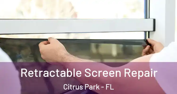  Retractable Screen Repair Citrus Park - FL