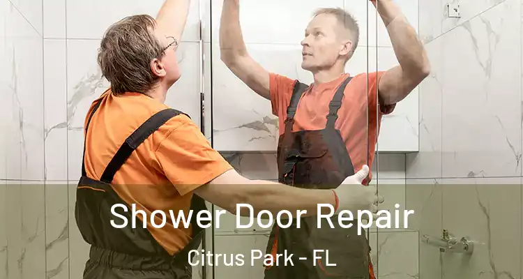  Shower Door Repair Citrus Park - FL