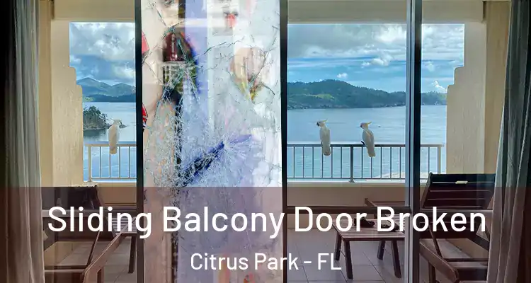  Sliding Balcony Door Broken Citrus Park - FL