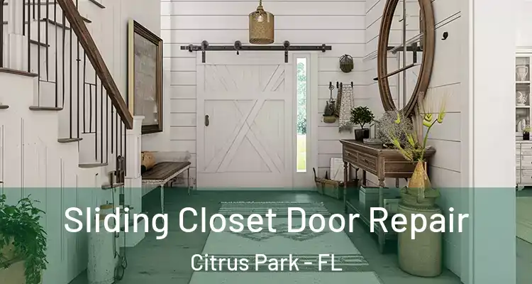  Sliding Closet Door Repair Citrus Park - FL