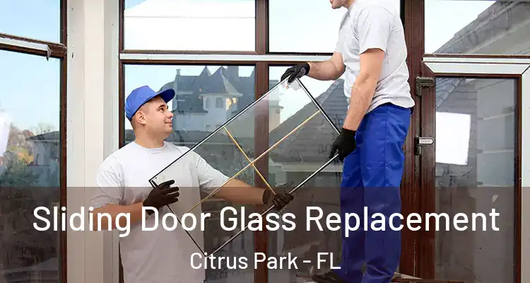  Sliding Door Glass Replacement Citrus Park - FL