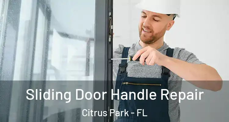  Sliding Door Handle Repair Citrus Park - FL
