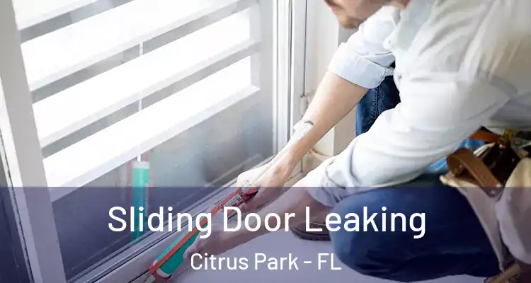  Sliding Door Leaking Citrus Park - FL