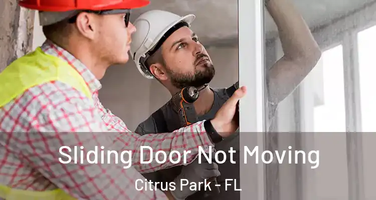  Sliding Door Not Moving Citrus Park - FL