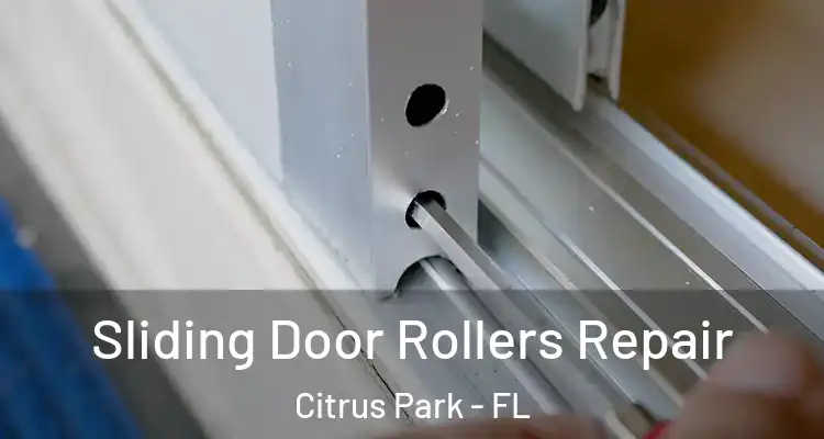  Sliding Door Rollers Repair Citrus Park - FL