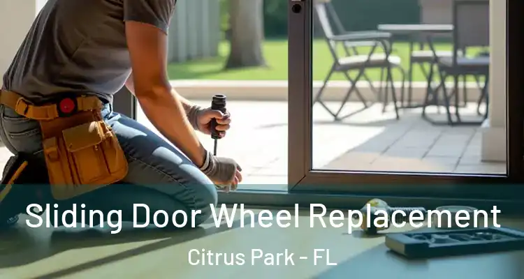  Sliding Door Wheel Replacement Citrus Park - FL
