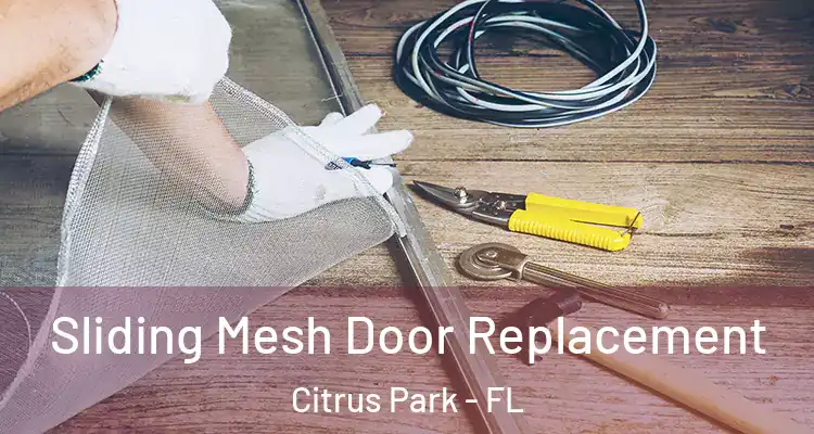  Sliding Mesh Door Replacement Citrus Park - FL