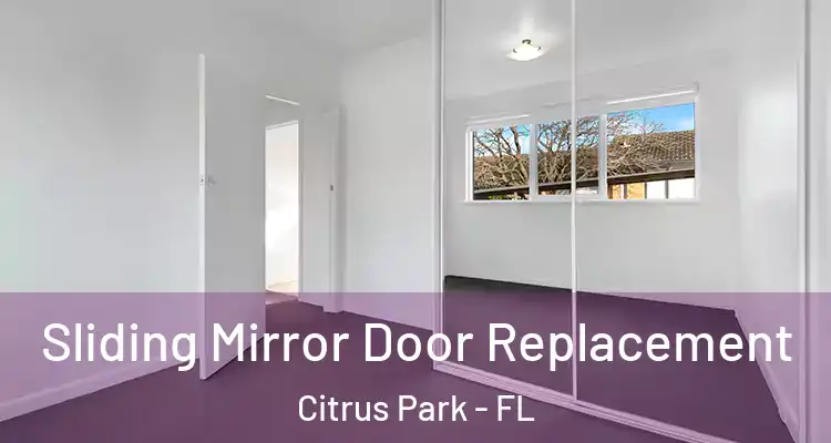  Sliding Mirror Door Replacement Citrus Park - FL