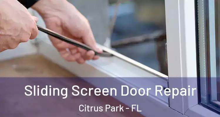  Sliding Screen Door Repair Citrus Park - FL