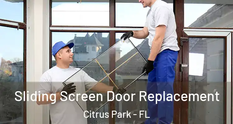  Sliding Screen Door Replacement Citrus Park - FL