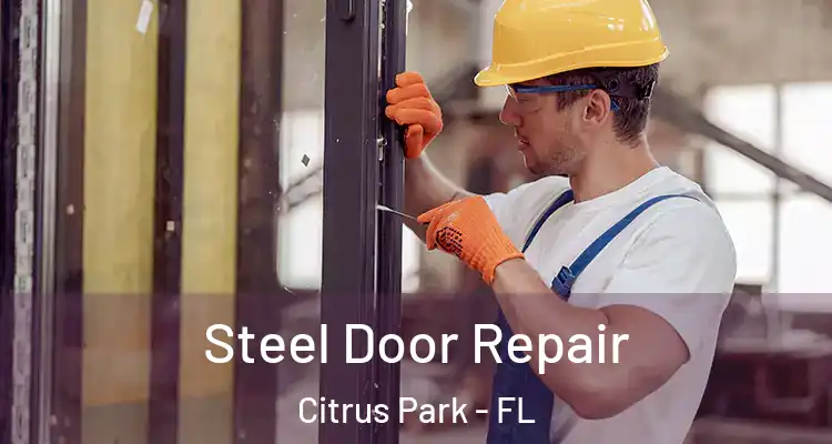  Steel Door Repair Citrus Park - FL
