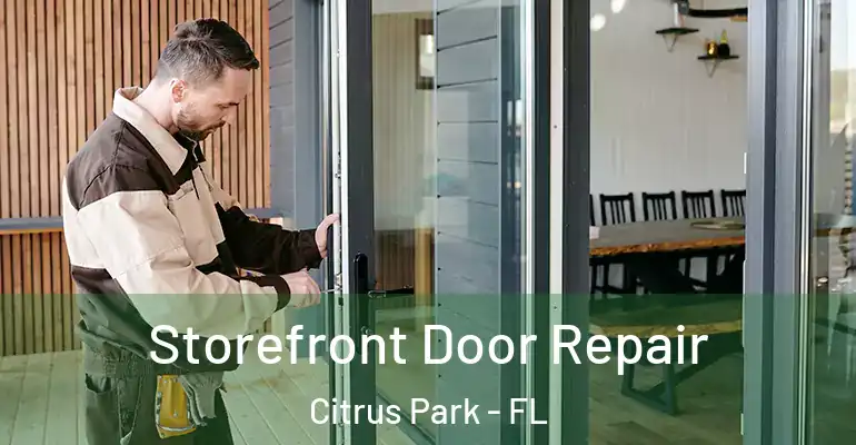  Storefront Door Repair Citrus Park - FL