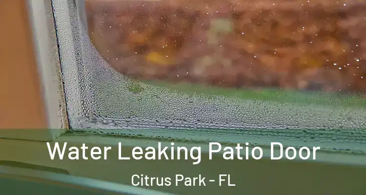  Water Leaking Patio Door Citrus Park - FL