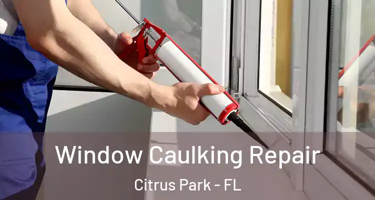  Window Caulking Repair Citrus Park - FL