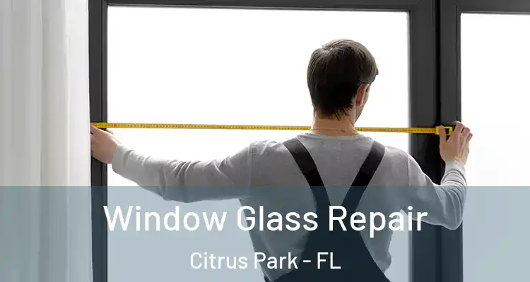  Window Glass Repair Citrus Park - FL