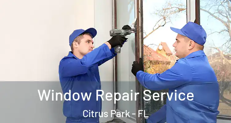  Window Repair Service Citrus Park - FL