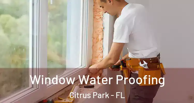  Window Water Proofing Citrus Park - FL